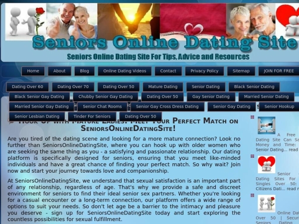 seniorsonlinedatingsite.com