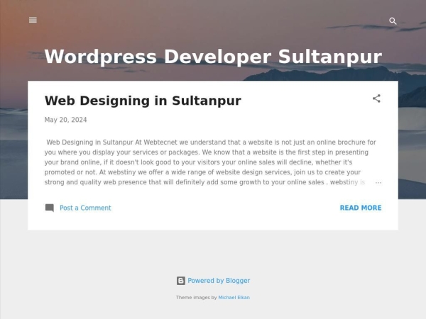 wordpressdevelopersultanpur.blogspot.com